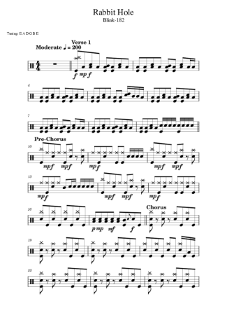 Blink 182 Rabbit Hole score for Drums