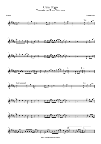 Fernandinho Caia Fogo score for Flute