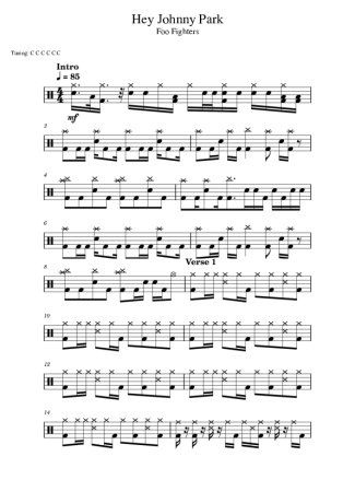 Foo Fighters Hey Johnny Park score for Drums
