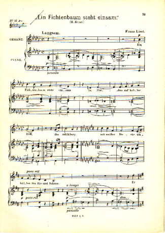 Franz Liszt Ein Fichtenbaum Steht Einsam II S.309bis score for Piano