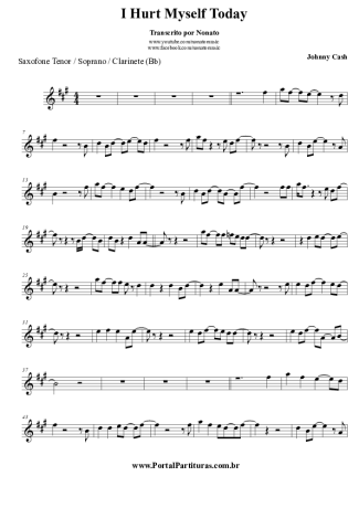 Johnny Cash I Hurt Myself Today score for Clarinet (Bb)
