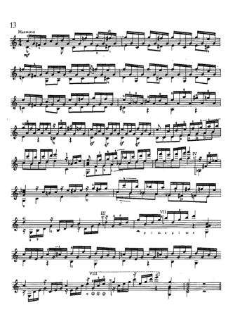 Mauro Giuliani Estudo 13 Op 48 score for Acoustic Guitar