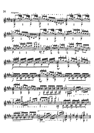 Mauro Giuliani Estudo 14 Op 48 score for Acoustic Guitar