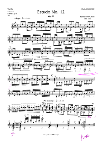 Napoléon Coste Estudo Op. 38 Nr 12 score for Acoustic Guitar