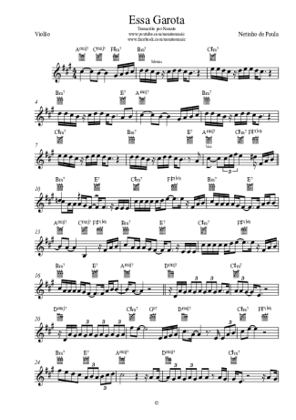 Netinho de Paula Essa Garota score for Acoustic Guitar