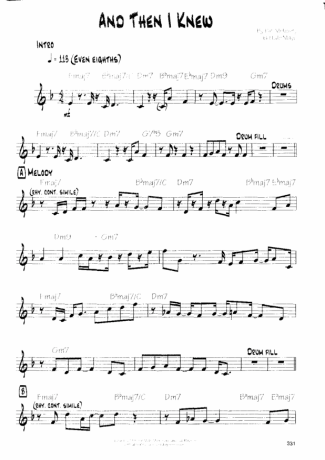 Pat Metheny And Then I Knew score for Guitar