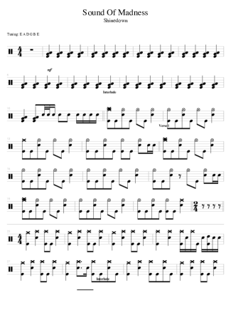 Shinedown Sound Of Madness score for Drums